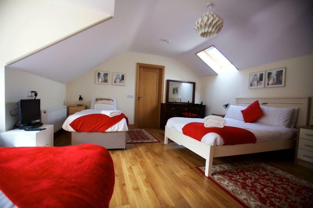 Woodview House Bed And Breakfast Cork Kültér fotó